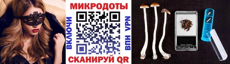 Галлюциногенные грибы прущие грибы  Щучье 